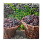 ブドウの収穫 タイル (正面)