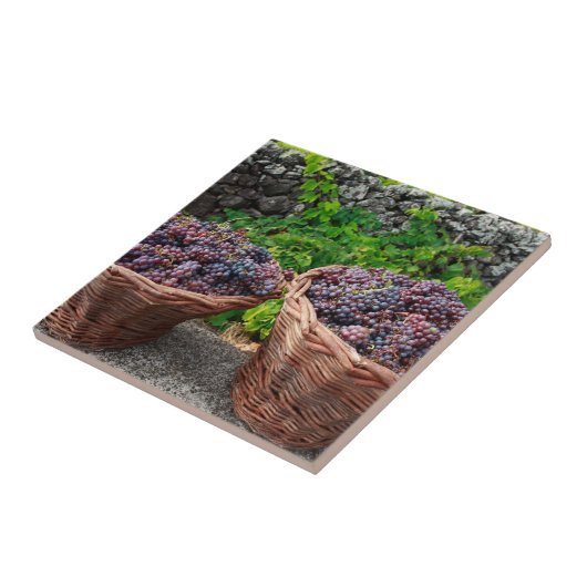ブドウの収穫 タイル (側面)
