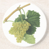 ブドウの房 ヴィンテージ フード フルーツ コースター (正面)