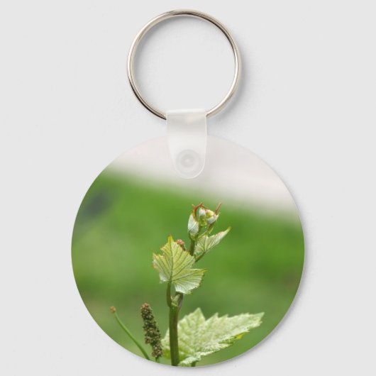 ブドウの新芽つる植物 キーホルダー (正面)