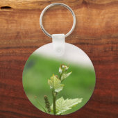 ブドウの新芽つる植物 キーホルダー (正面)