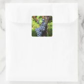 ブドウの束は、と一緒につる植物で熟した スクエアシール (バッグ)