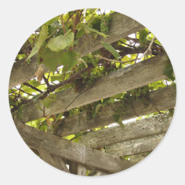 ブドウの林冠の下 ラウンドシール