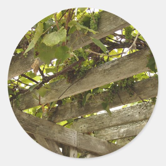 ブドウの林冠の下 ラウンドシール (正面)