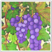ブドウの紫色の葡萄 シール (正面)