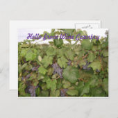 ブドウの美しいはがき ポストカード (正面/裏面)