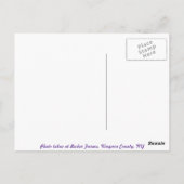 ブドウの美しいはがき ポストカード (裏面)