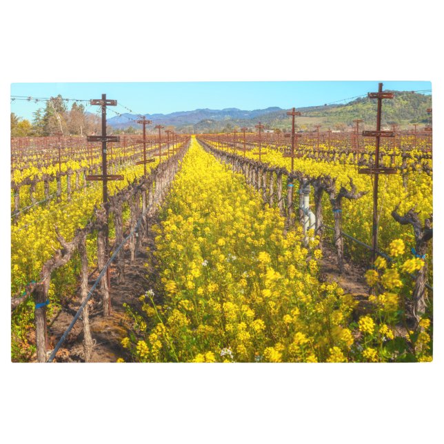 ブドウの花 メタルプリント (正面)