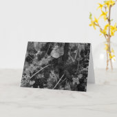 ブドウの詳細、Vineyard、Napa 1966年生地屋 カード (黄色い花)