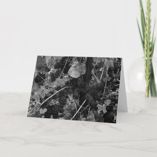 ブドウの詳細、Vineyard、Napa 1966年生地屋 カード (正面)