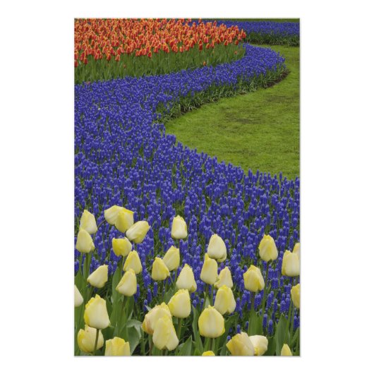 ブドウヒヤシンの花と2つの模様 フォトプリント (正面)