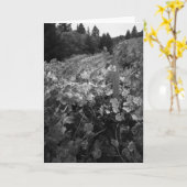 ブドウ園および丘のVineyard 1966年生地屋 カード (黄色い花)