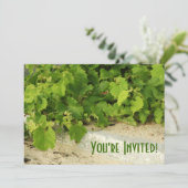 ブドウ園の招待状 招待状 (スタンド正面)