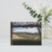 ブドウ園の視点 ポストカード (スタンド正面)