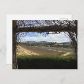 ブドウ園の視点 ポストカード (正面/裏面)