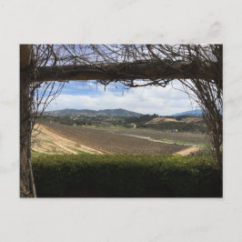 ブドウ園の視点 ポストカード
