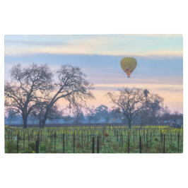 ブドウ園の風船 メタルプリント