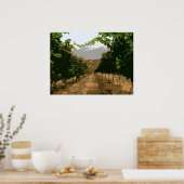 ブドウ園3 ポスター (キッチン)