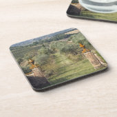 ブドウ園、トスカーナ、イタリア コースター (左側)