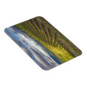 ブドウ園。ナパバレー。ナパ。ナパ郡 マグネット (右側)