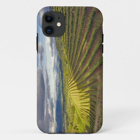 ブドウ園 ナパバレー ナパ ナパ郡, Case-Mate iPhoneケース (裏面)