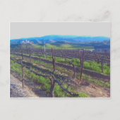 ブドウ園 ポストカード (正面)