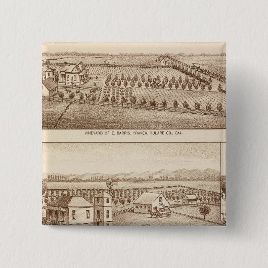 ブドウ園、牧場、トゥラレコ、カリフ 缶バッジ (正面)