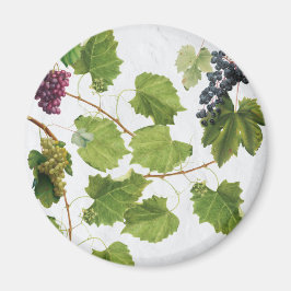 ブドウ地中海のヴィネヤードギリシャ島 マグネット