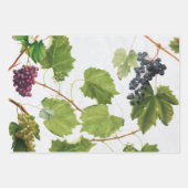 ブドウ地中海のヴィネヤードギリシャ島 ラッピングペーパーシート (正面2)