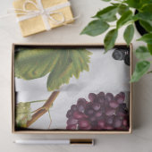 ブドウ地中海のヴィネヤードギリシャ島 薄葉紙 (ギフト)