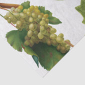 ブドウ地中海のヴィネヤードギリシャ島 薄葉紙 (詳細)