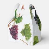 ブドウ地中海のヴィンヤードギリ結婚シア島 フェイバーボックス (裏面サイド)