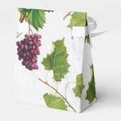 ブドウ地中海のヴィンヤードギリ結婚シア島 フェイバーボックス (裏面サイド)