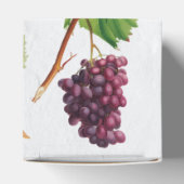 ブドウ地中海のヴィンヤードギリ結婚シア島 フェイバーボックス (上部)