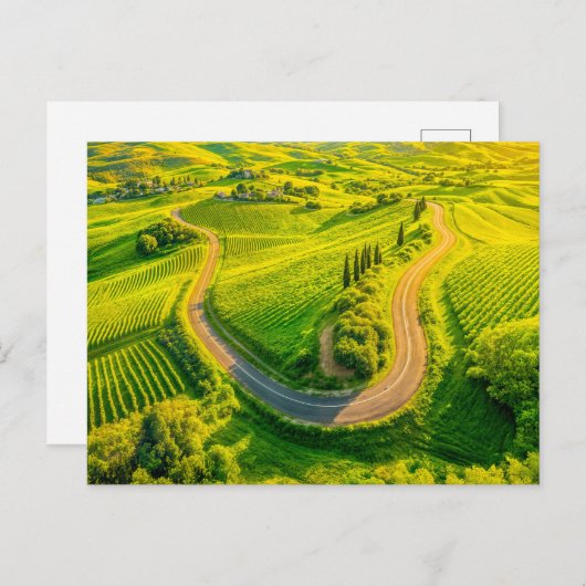 ブドウ畑とヒノキの木を曲がりくねった道 シーズンポストカード (正面/裏面)