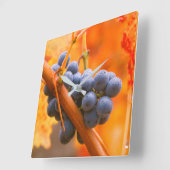 ブドウ畑に熟したブドウ スクエア壁時計 (傾斜)