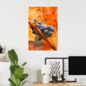 ブドウ畑に熟したブドウ ポスター (ホームオフィス)