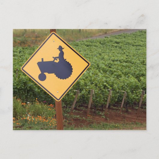 ブドウ畑に黄色のトラクターが交差する標識 ポストカード (正面)