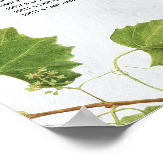 ブドウ畑ギリシャ結婚島の座席表 ポスター (角)