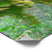 ブドウ畑ポスター ポスター (角)