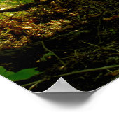 ブドウ畑 ポスター (角)