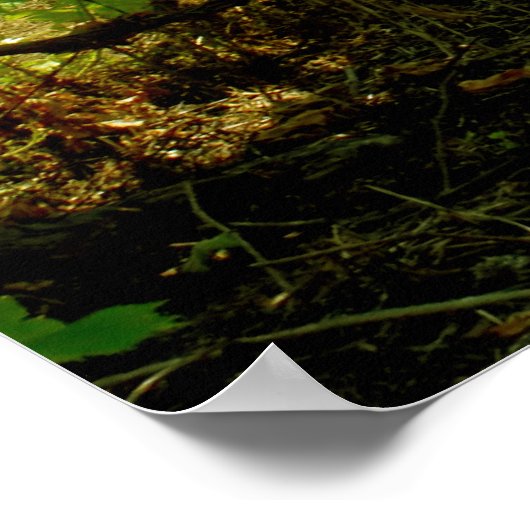 ブドウ畑 ポスター (角)