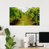 ブドウ畑 ポスター (ホームオフィス)