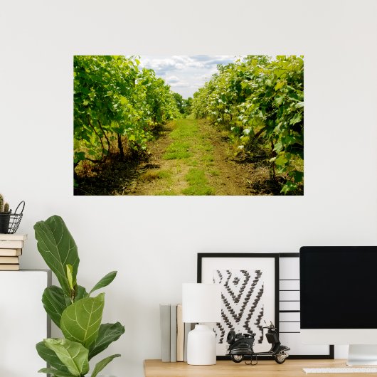 ブドウ畑 ポスター (ホームオフィス)