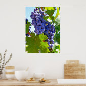 ブドウ畑 ポスター (キッチン)