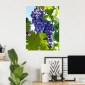 ブドウ畑 ポスター (ホームオフィス)