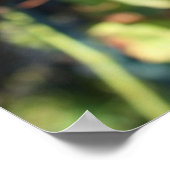 ブドウ畑 ポスター (角)