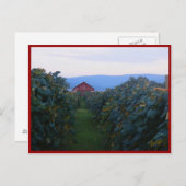 ブドウ畑 ポストカード (正面/裏面)