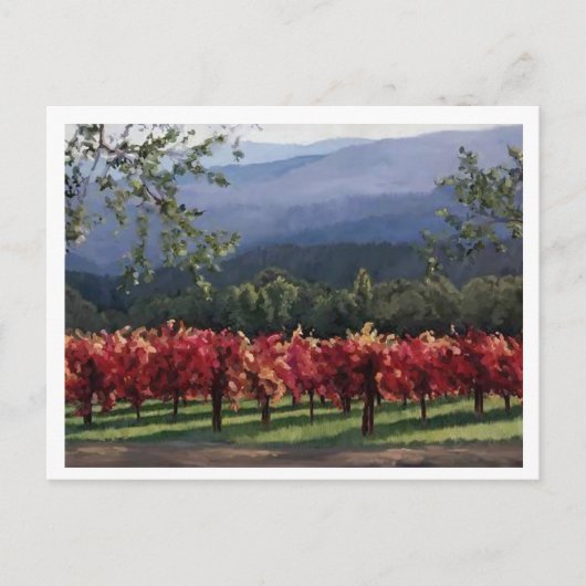 ブドウ畑 ポストカード (正面)