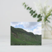 ブドウ畑 ポストカード (スタンド正面)